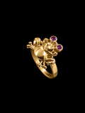 Anillo de ranita