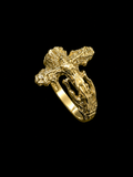 Anillo de Jesús